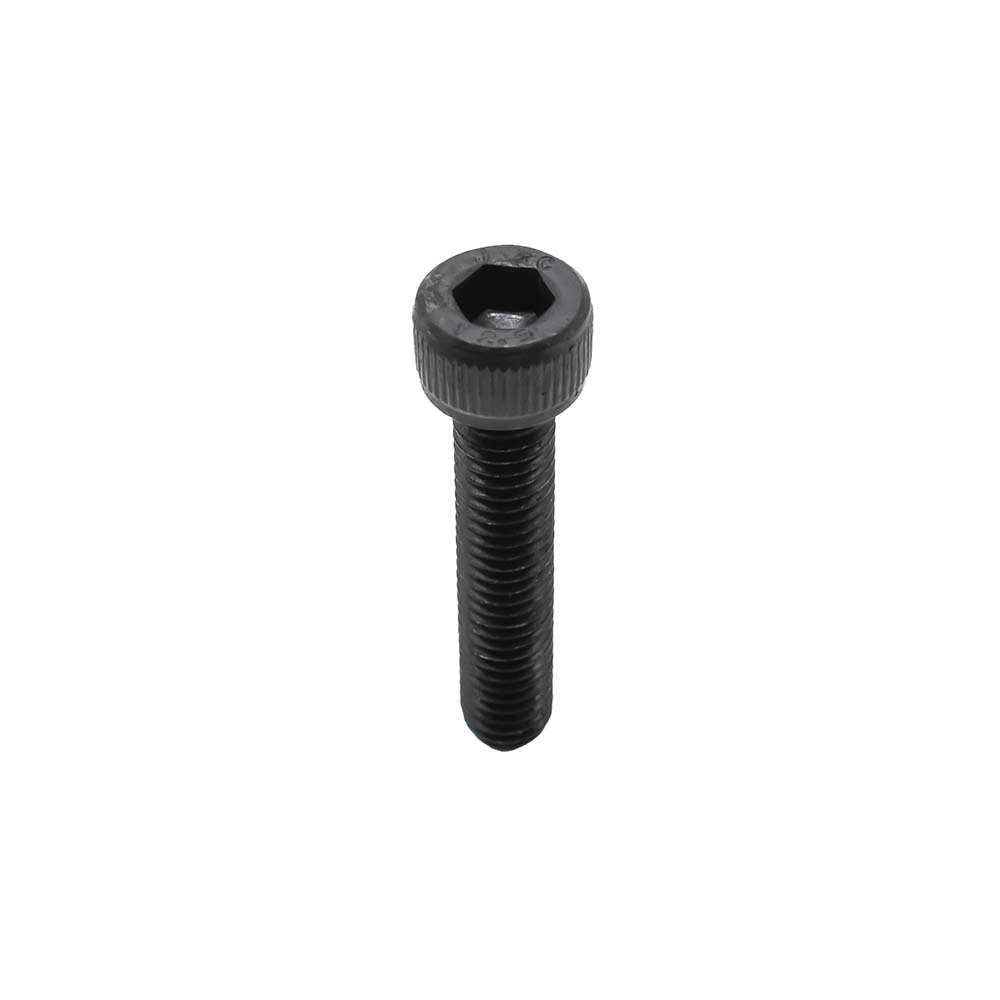 100015 SCREW SOCKET HD M6*25