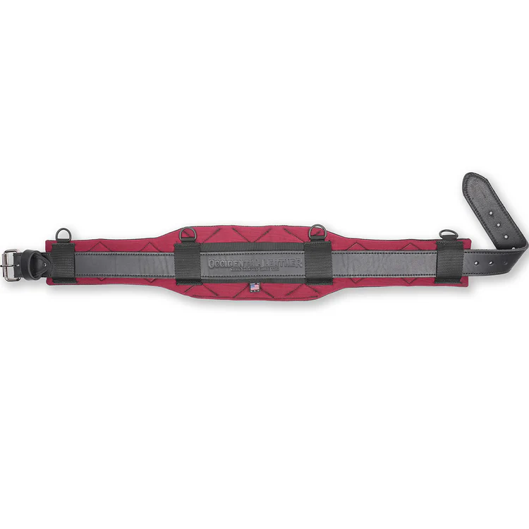 ProFORMANCE™ Belt Sku: 8025R XL