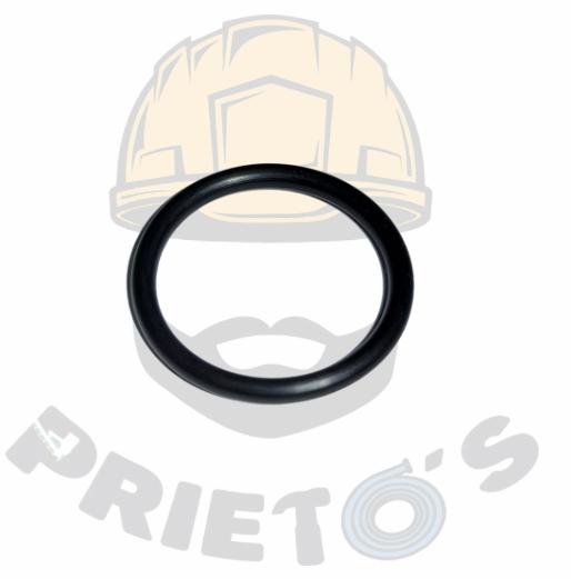 100098 O-RING FOR PN59 EVERWIN